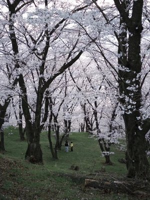 ⛰️ 고보 산(코보야마) 이미지 2